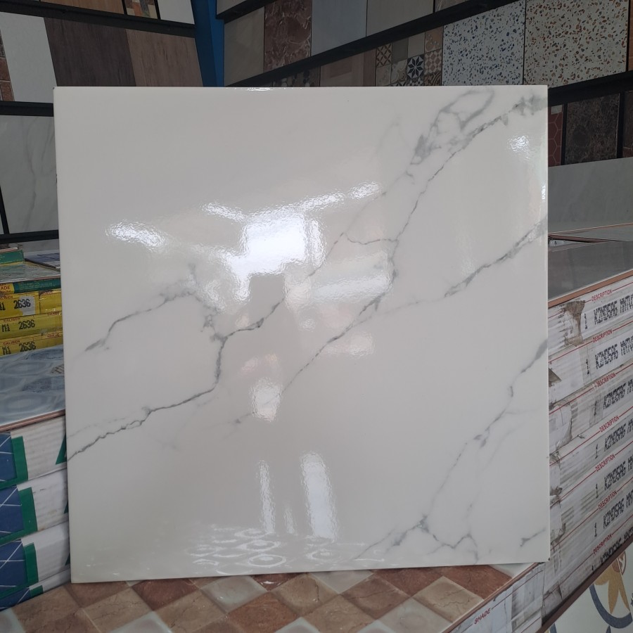 CONCORD GRACIA MONSTERA WHITE 50X50 (A) (DSC)